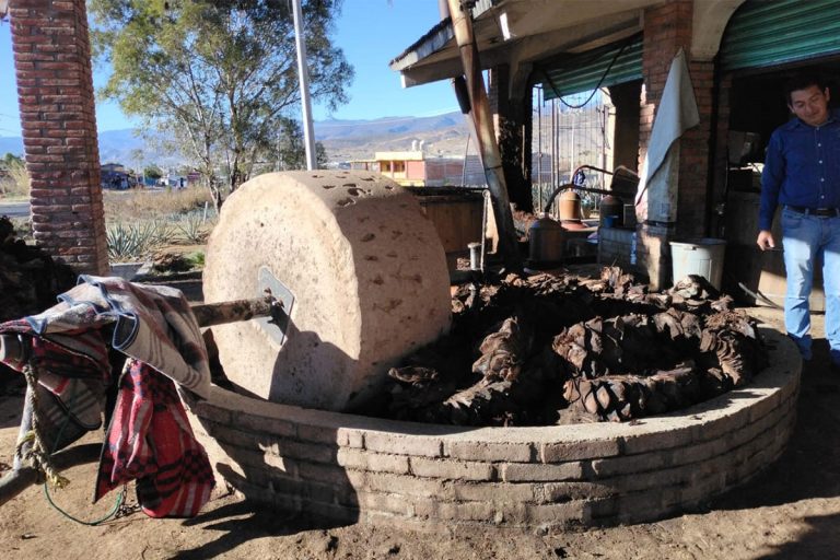 oaxaca-patrimonio-cultural-tour-13